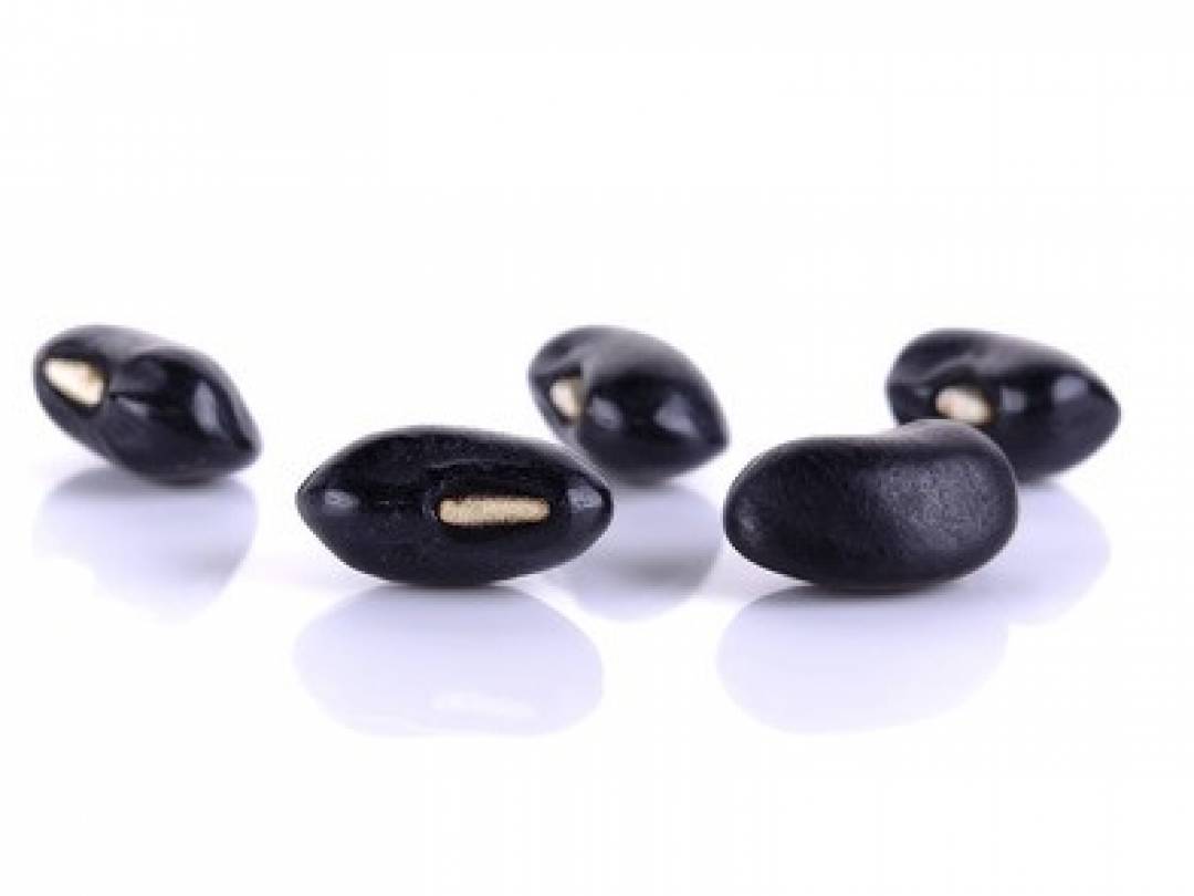 Five Magic Beans